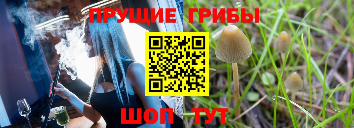 Чехов  Галлюциногенные грибы мицелий  Вход с VPN  наркошоп  Псилоцибиновые грибы Cubensis 