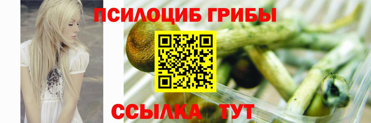 Галлюциногенные грибы мицелий Чехов